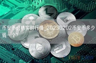 binance币价格实时行情_20230202binance币多少钱一个?